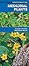 Medicinal Plants: A Folding Pocket Guide to Familiar Widespread Species (Pocket Naturalist Guide Series)