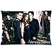 Vampire Diaries We Are Together 20x30 (one side) Custom Rectangle Pillow Cover Cases
