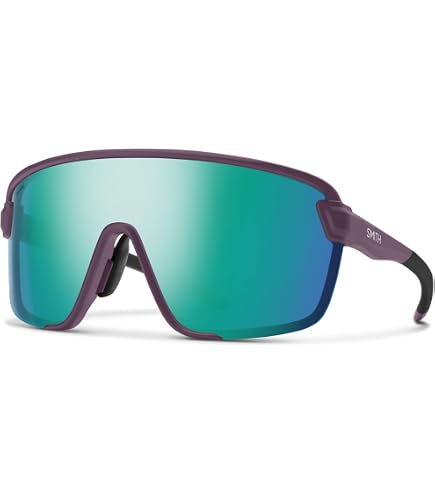 Amazon.com: SMITH Optics Wildcat Sunglasses with ChromaPop Lens