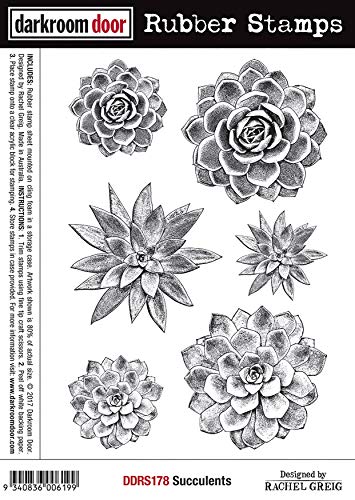 Darkroom Door Cling Stamps 7"X5"-Succulents