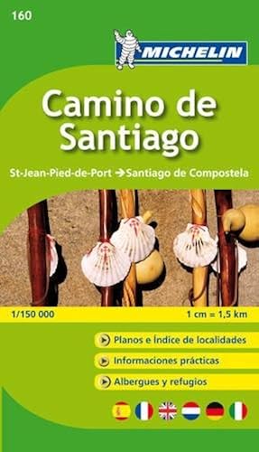 Download Carte ZOOM Camino de Santiago PDF