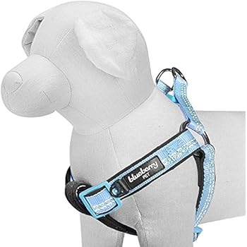 Blueberry Pet 4 Colors Soft & Comfy New 3M Reflective Step-in Pastel Color Padded Dog Harness, Chest Girth 15.5