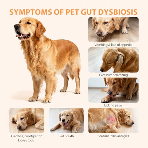 Probiotics for Dogs, Dog Probiotic Chewable Tablets, Digestive Enzymes & Prebiotics Regulate Gut Health, Improve Digestion & Immunity, Reduce Itching & Allergies, Cat Probiotics Chicken Flavor, 5.3Oz