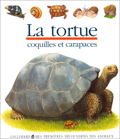 couverture de : LA TORTUE