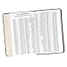 KJV Holy Bible, Giant Print Standard Size Faux Leather Red Letter Edition - Ribbon Marker, King James Version, Brown Two-tone (KJV Standard GP Editions)