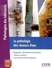 La  pathologie des réseaux d'eau