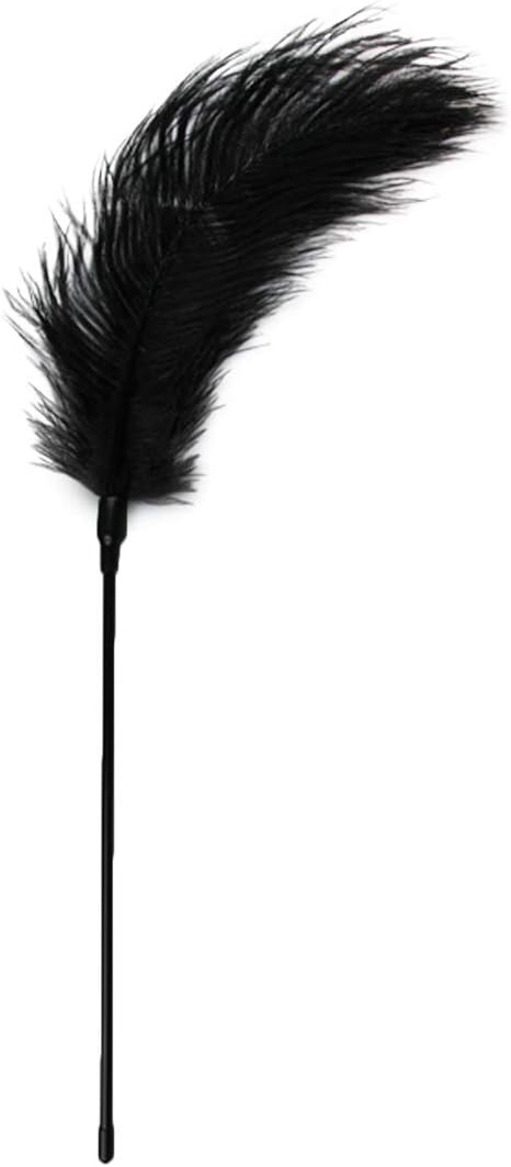 EasyToys Fetish Collection Black Feather Tickler, Black