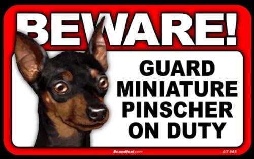 miniature pinscher guard dogs