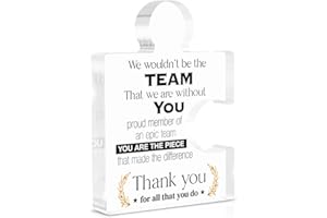 YIGAUE Team Appreciation Gifts Thank You Gift for Coworkers Colleagues Employees Boss, Best Teams Ever Gifts We Wouldn't Be the Team We Are Without You Acrylic Puzzle Piece Plaque Office Decor