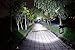 HKBAYI New T6 3LED 5000Lm Rechargeable Headlamp Headlight Head lamp + AC Charger