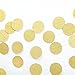 MOWO Glitter Paper Garland Circle Dots Hanging Decor,2'' in Diameter,9.8-feet(Gold Glitter,2pc)