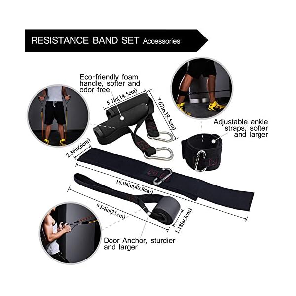 TheFitLife Exercise Resistance Bands with Handles - 5 Fitness Workout Bands Stackable up to 110/150/200/250 lbs…