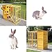 Sandinrayli Cat House Outdoor Run Wooden Cat Rabbit Home w/Outside Fun Run Small Animal Enclosure Cage