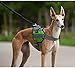 Dog Harness PYRUS Soft Reflective No Pull Dog Leash Padded Pet Walking Adjustable Harness for Dogs (22-27inch)
