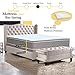 Continental Sleep 10-Inch Medium Plush Eurotop Pillowtop Innerspring Mattress and 8