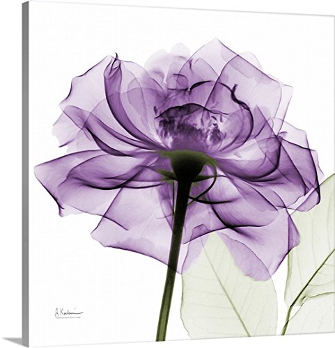 Albert Koetsier Premium Thick-Wrap Canvas Wall Art Print