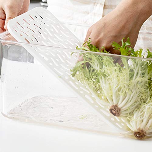 Benzoyl Lettuce Keeper Refrigerator Food Storage Containers, FreshWorks Produce Saver Stackable Container with Lids & Removable Drain Tray, Freezer Bins Stay Fresh for Kitchen Pantry -5700 ML