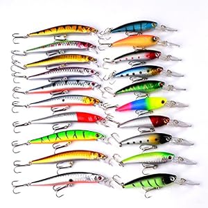 Chseeo Leurres De Pêche Kit 20pcs Appât De Pêche Boîte D’accessoires De Pêche Poissons-nateurs Spinnerbaits Crankbait Crochets De Pêche Pour L’eau De Mer Et L’eau Douce #3