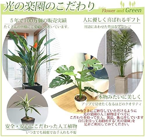 日用品 インテリア 家具 光の楽園 光触媒 人工観葉植物 ミニピポエスタポット B071zz3wqc 2 040円 人気海外一番 100 品質保証 全品送料無料 即日出荷 Sale開催中