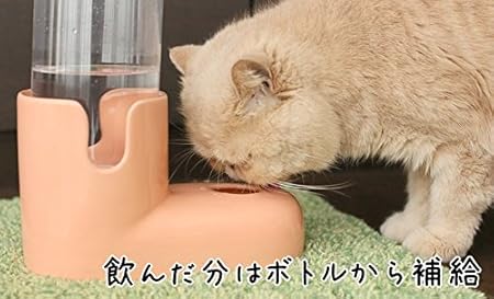 Amazon 猫の水飲み グリーン 給水器 口の周りを美しく保つ トップブリーダー考案 バンコクより直輸入 Chilli 給水器 ウォーターボトル 通販