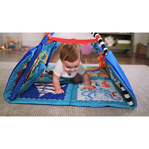 Baby Einstein Discovery Seas MultiMode Gym Activity Gym, Ages Newborn