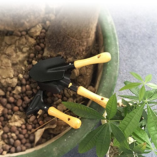 3-Piece Mini Garden Hand Tool Set Wooden Handle Iron Garden Tools Planting Tools Shovel +Spade+ Rake Trowel Wood Handle Metal Head Gardener