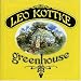 Leo Kottke Louise