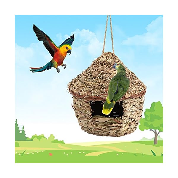 2 Pezzi Nido Per Uccelli, Casetta Per Uccelli, Casetta Per