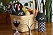 Air Nebula Wine Tote/Champagne Bottle Carrier Insulated 15