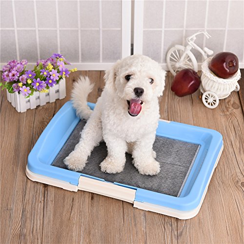Small Sized Pet Dog Toilet Indoors House Training Tray Urinal Pads for Small Medium Dogs Cats Blue