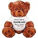 Sorry and Forgive Me Gift: Funny Teddy Bear Couple Gift: Medium Teddy Bear Stuffed Animal