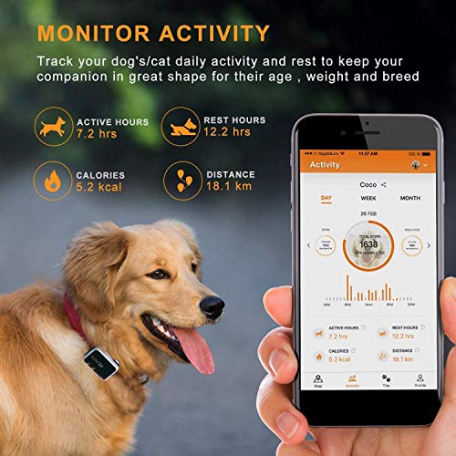 Pawfit 2 dog gps tracker Clearance