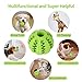 Nunbell Retractable Dog Leash,Heavy Duty 16ft Retracting Pet Leash with Free Bag Dispenser + Bonus Bowl + Dog Collar;Strong & Durable Nylon Tape/Ribbon | Dog IQ Treat Balls | Neon Green