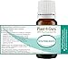 Wintergreen Essential Oil 10 ml 100% Pure Undiluted Therapeutic Grade.