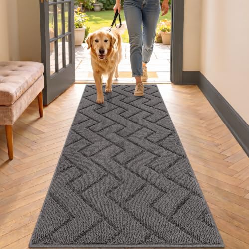 Biscpro Innen Außen Fußmatte 50x120cm, Schmutzfangmatte rutschfest Fussmatte Innen Waschbar Eingangsteppich Innen Fussmatten Haustür dünn Innen für Ei