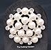 Pearl Cluster Round Brooches 6'' H X 1-1/4''d Pack of 6