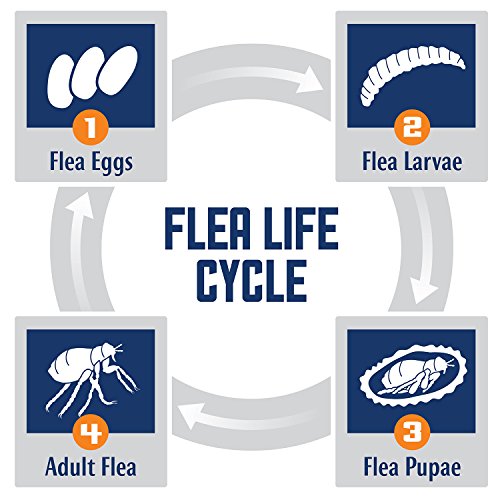 ProSense 7 Flea & Tick Prevention and Control for Dogs 510 lb 3