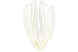 Lot de 12 plumes d'oie blanches naturelles de 20 à 25 cm, plumes bilatérales de grande taille, ailes gauche et droite pour tr