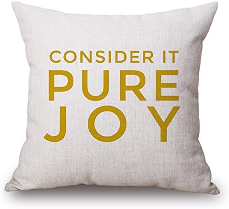 LEEPO 18 x 18 Inch Throw Pillow Cotton Blend Linen Letter Animal Fruit Pattern Square Decorative Cushion Cover and Insert Yellow Series CONSIDER IT PURE JOY