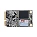 KingSpec mSATA SSD Internal Solid State Drive Data Storage SATA Hard Drives 3D NAND Flash PC Desktop Laptop Notebook Computer Upgrade 256GB