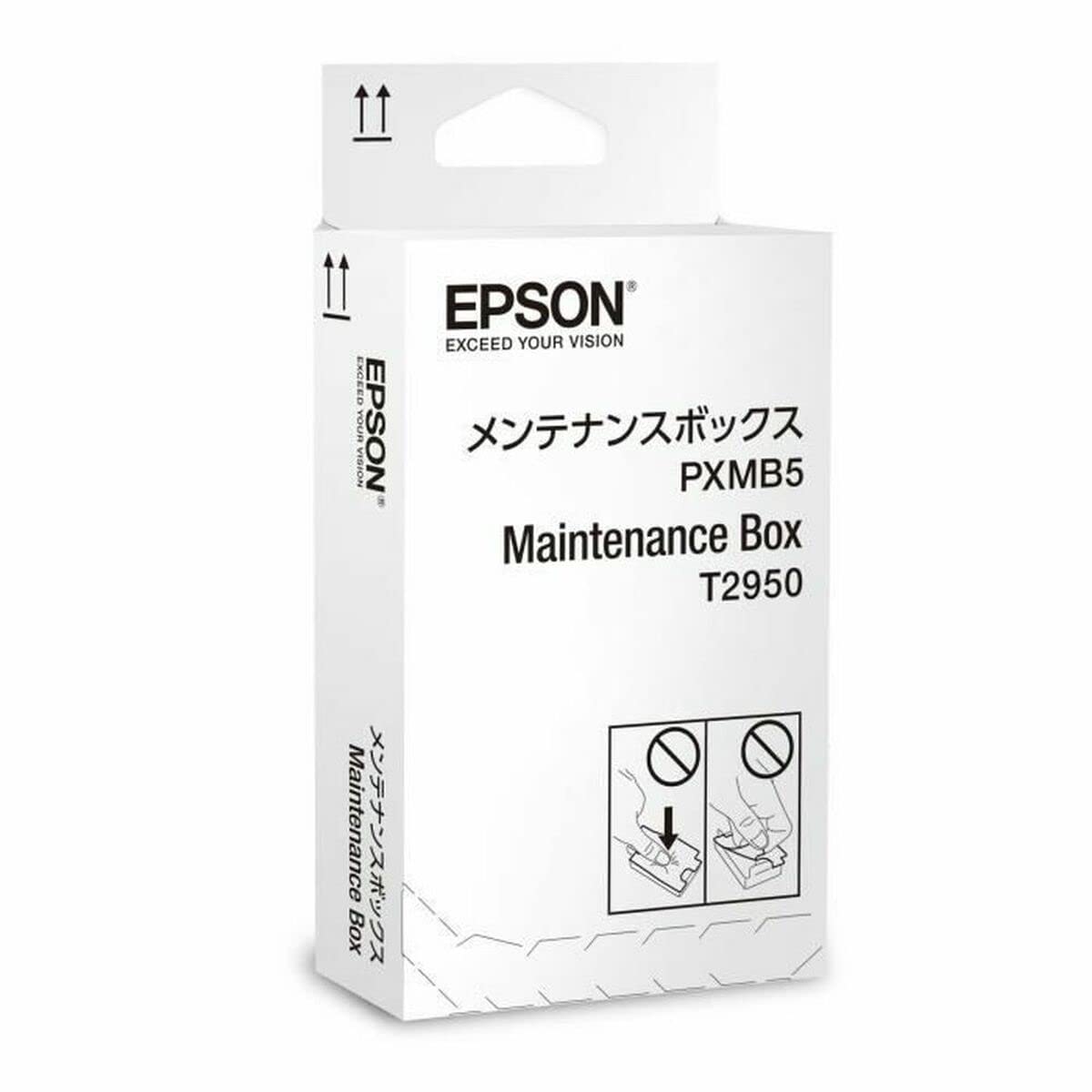 Epson C13T295000 - WF100W MAINTENANCE BOX,Black