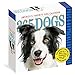 365 Dogs Page-A-Day Calendar 2019 by 