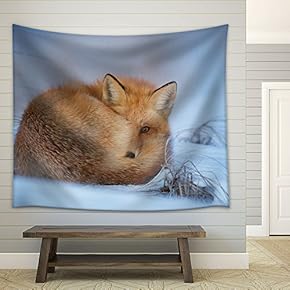 Fox Lying on The Snow in Winter - Fabric Wall Tapestry Home Decor - 51x60 inches