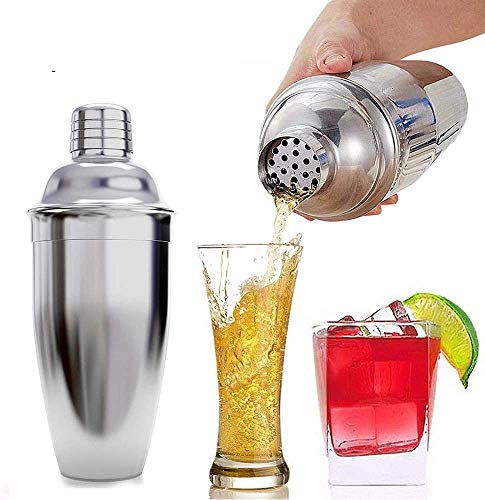 LKNJLL 24 Ounce Cocktailshaker Bar-Set mit Zubehör - Martini-Set mit Jigger Mess- und Rührlöffel Plus-Trinken Rezepte… – Bild 3
