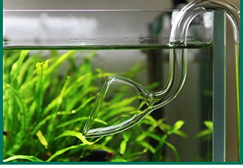 JARDLI Glass Lily Pipe Outflow for Aquarium Planted Tank (17mm for 16/22mm (5/8" ID) tubing)