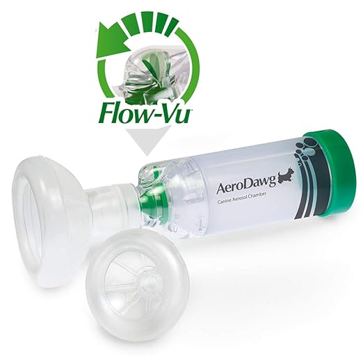 Where To Buy Albuterol Online