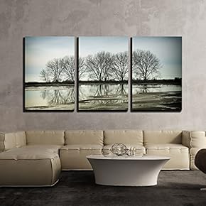 3 Piece Canvas Wall Art - Tree Reflection in a Pond, Vancouver Bc Canada - Modern Home Art Stretched and Framed Ready to Hang - 16"x24"x3 Panels