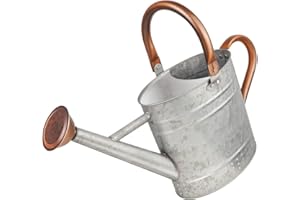 Megawodar 1 Gallon Metal Watering Can with Removable Spout, Nice Galvanized Steel Water Can with Embossed Design for Indoor and Outdoor Plants