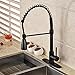 Rozin Single Hole Pull Down Sprayer Kitchen Sink Faucet Deck Mount Mixer Tap with 8