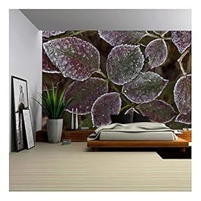 Autumn Leaves with Frost - Closeup - Removable Wall Mural | Self-Adhesive Large Wallpaper - 66x96 inches